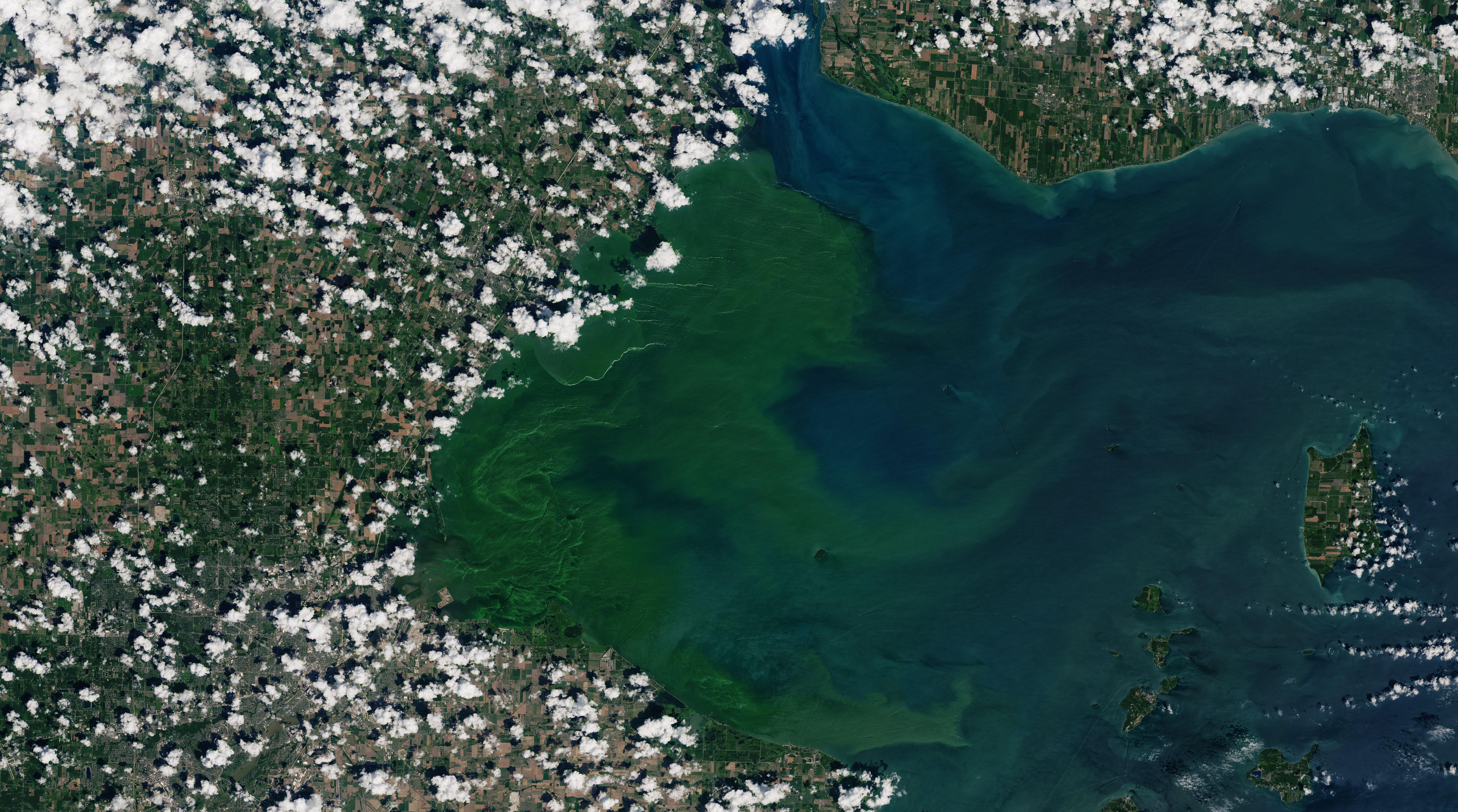 July 2019 toxic algae bloom at western Lake Erie (PC: NASA Earth Observatory)